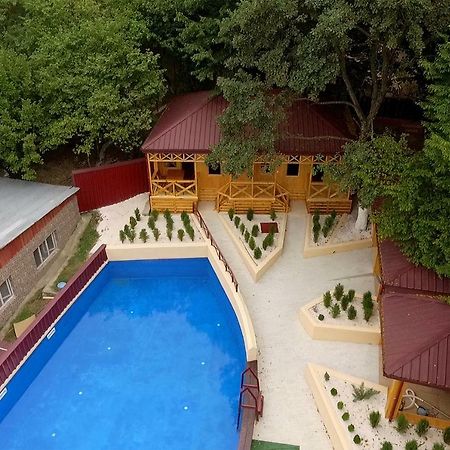 Nikala Bed & Breakfast Telavi Dış mekan fotoğraf
