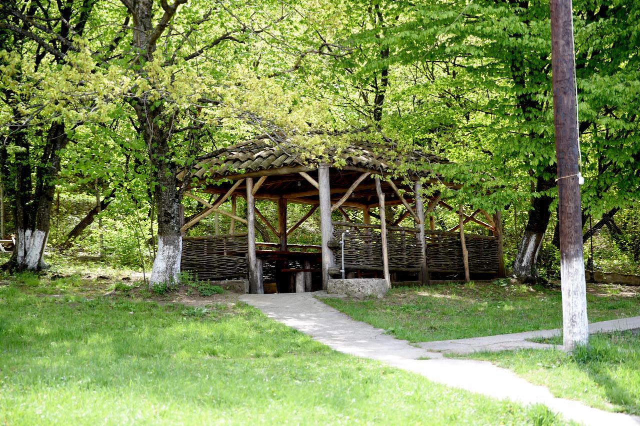 Nikala Bed & Breakfast Telavi Dış mekan fotoğraf
