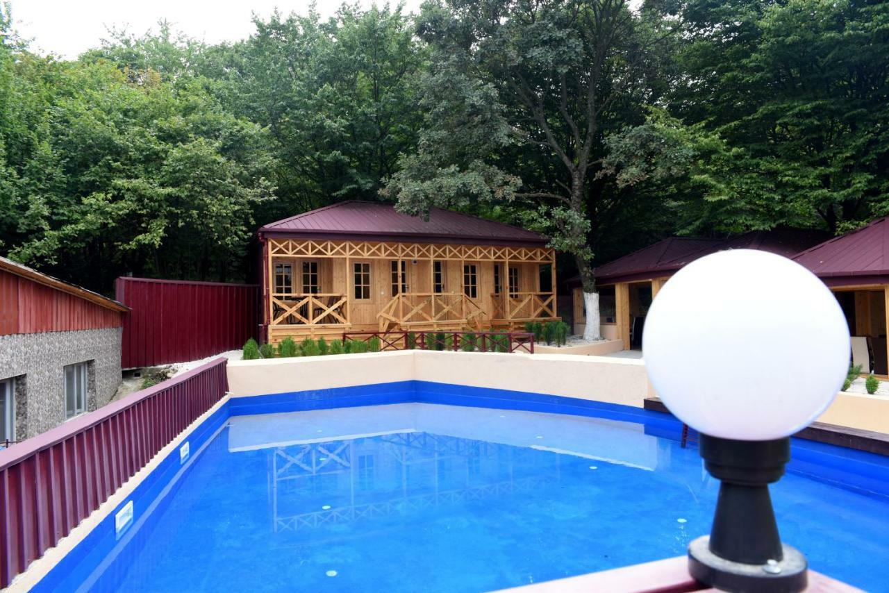 Nikala Bed & Breakfast Telavi Dış mekan fotoğraf