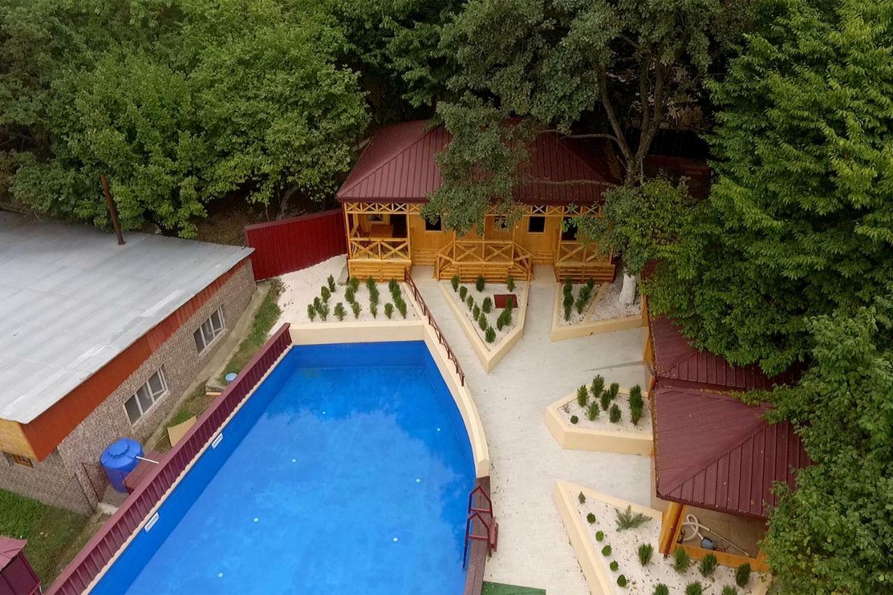Nikala Bed & Breakfast Telavi Dış mekan fotoğraf