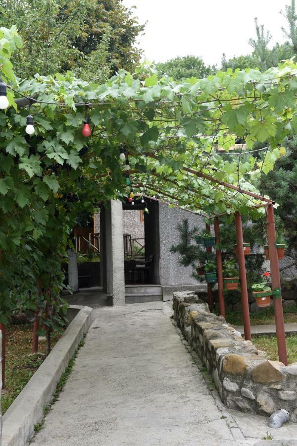 Nikala Bed & Breakfast Telavi Dış mekan fotoğraf